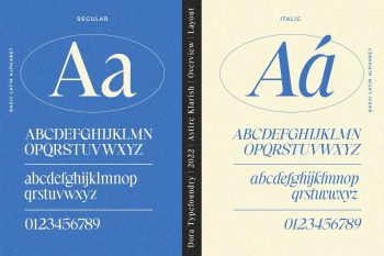 Retro Stylish Serif Family