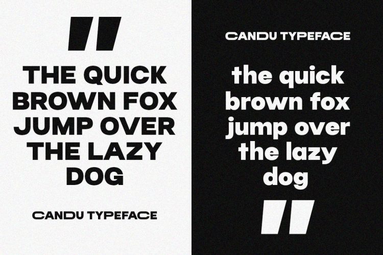 classic sans serif typeface