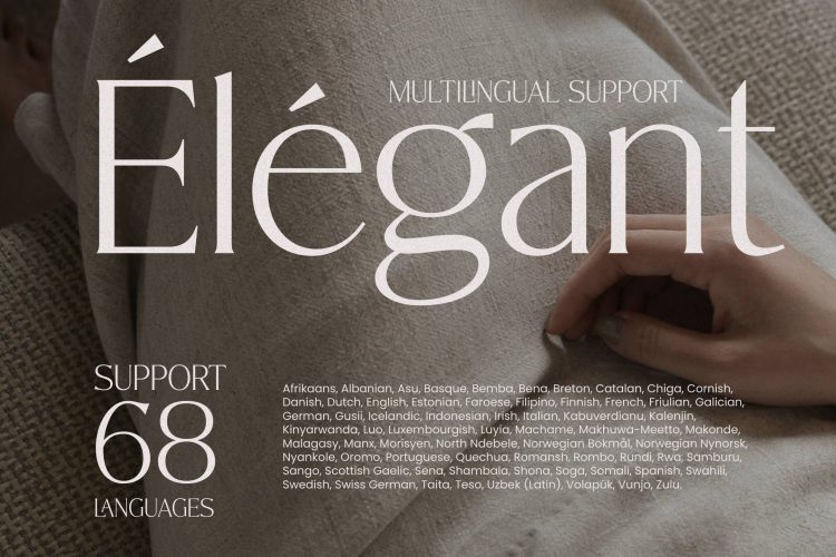 Elegant Modern Serif