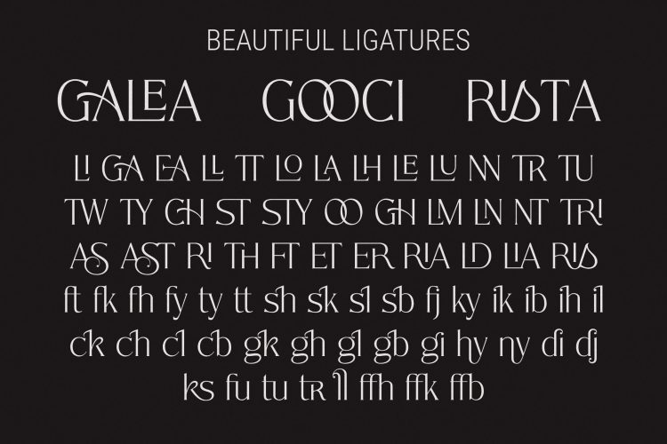 Elegant Modern Serif