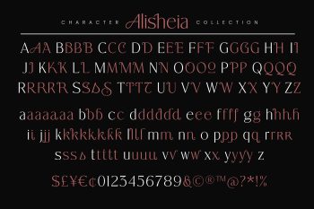 Elegant Modern Serif