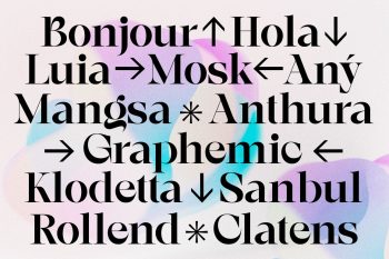elegant serif font