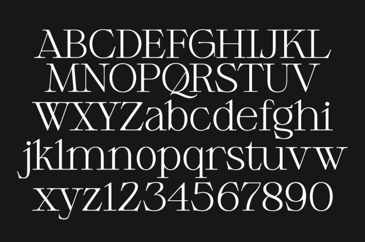 geometric elegant serif typeface