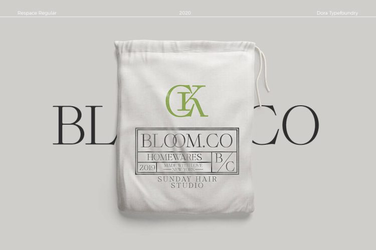 geometric elegant serif typeface