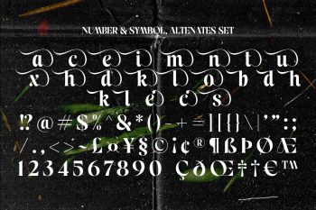 High Contrast Serif Display