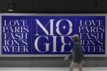 luxury font duo