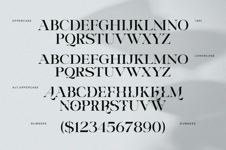 luxury font duo