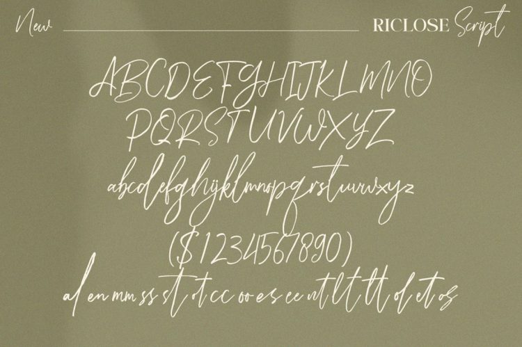 luxury font duo