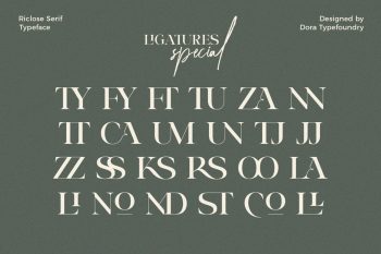 luxury font duo