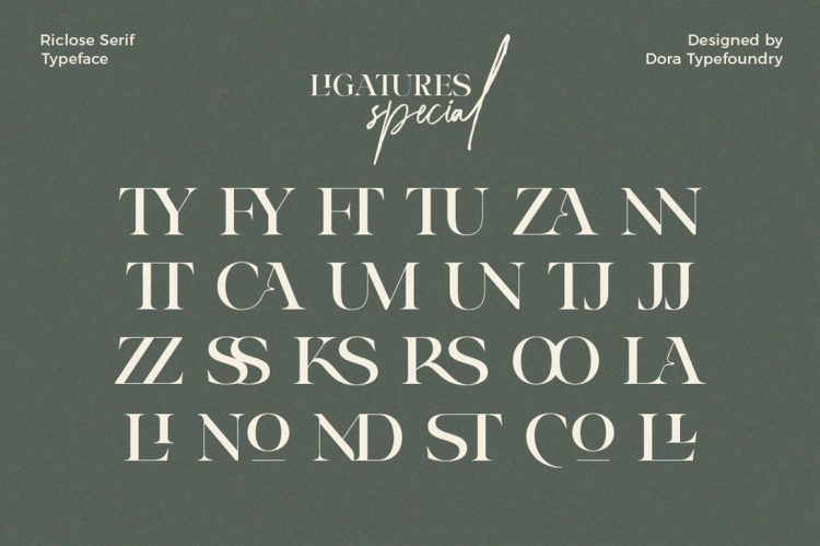 luxury font duo