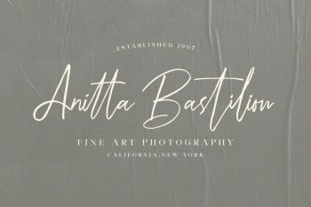 luxury font duo