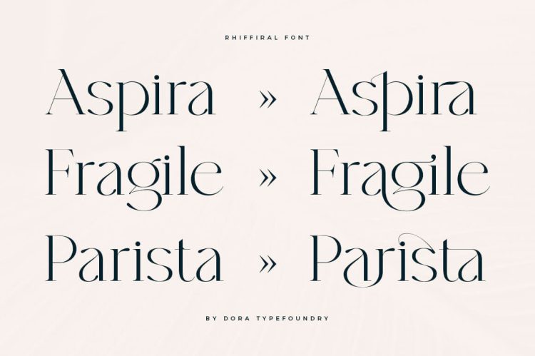 Modern Elegant Serif Font