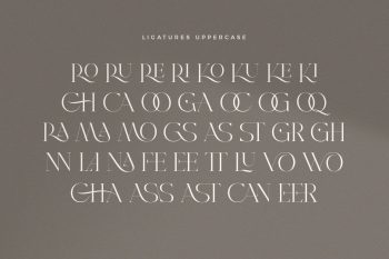 Modern Elegant Serif Font