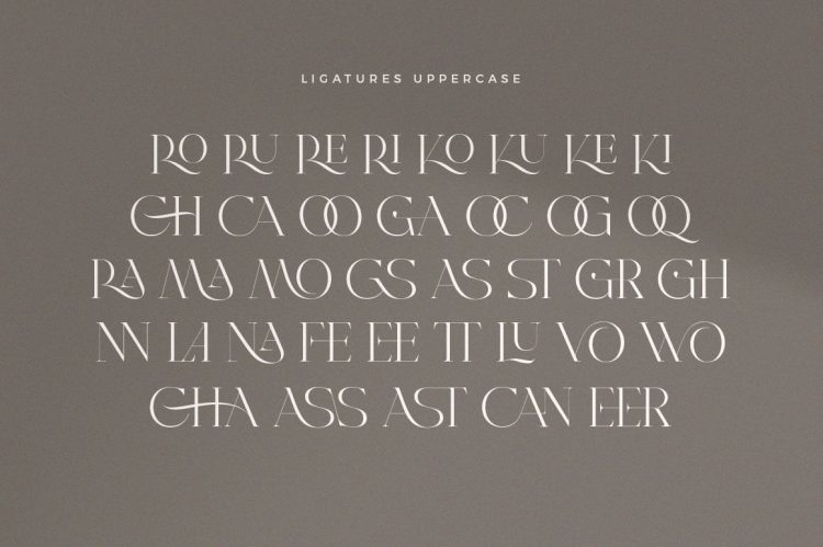 Modern Elegant Serif Font