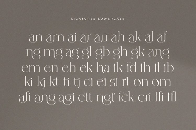 Modern Elegant Serif Font