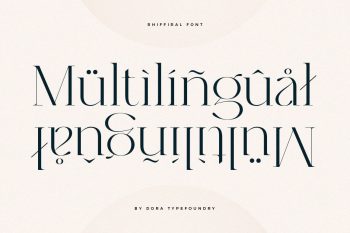 Modern Elegant Serif Font