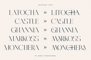 Modern Elegant Serif Font