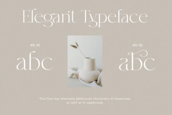 Modern Elegant Serif Font