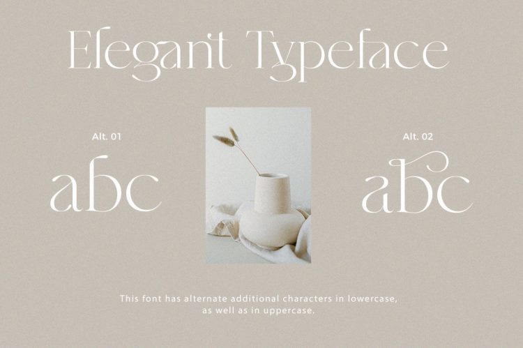 Modern Elegant Serif Font