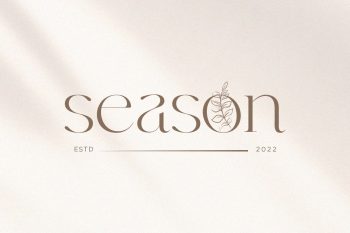 Modern Elegant Serif Font