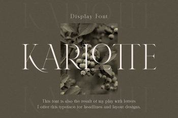 serif display font