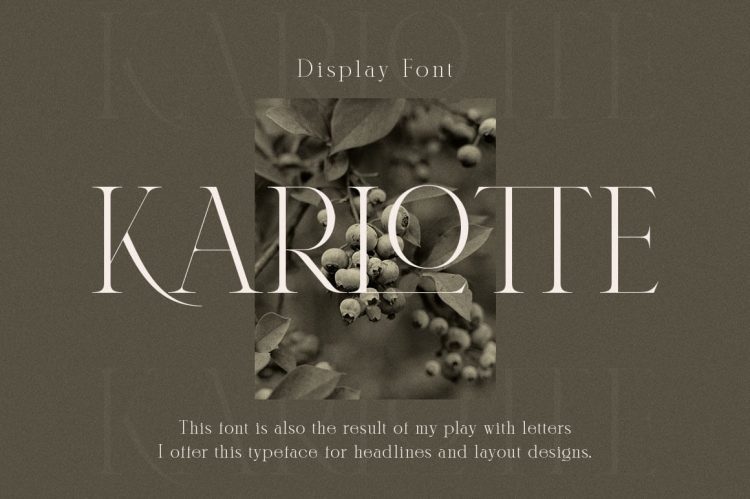 serif display font