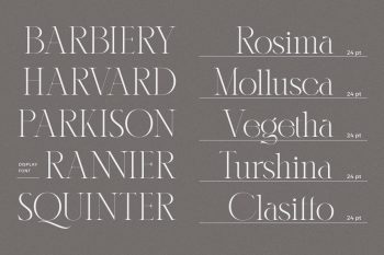 serif display font