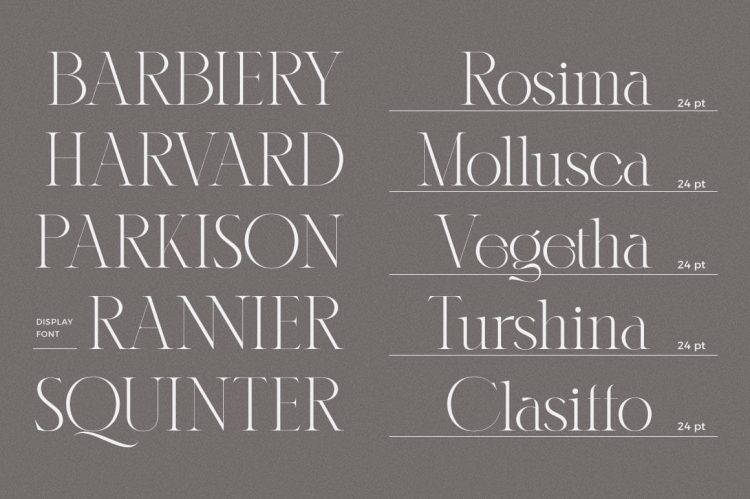 serif display font