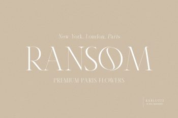 serif display font