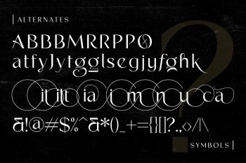 Simple Stylish Typeface