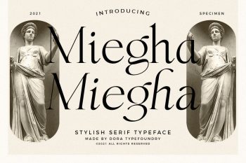 Stylish Serif Typeface