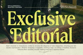 Exclusive Editorial - Retro Serif