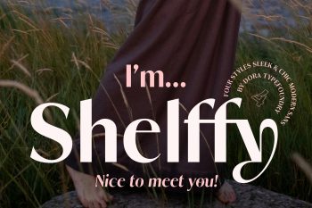 Shelffy